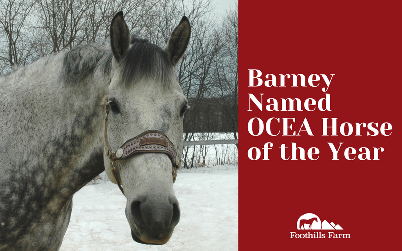 Barney Named North Zone Horse of the Year by OCEA