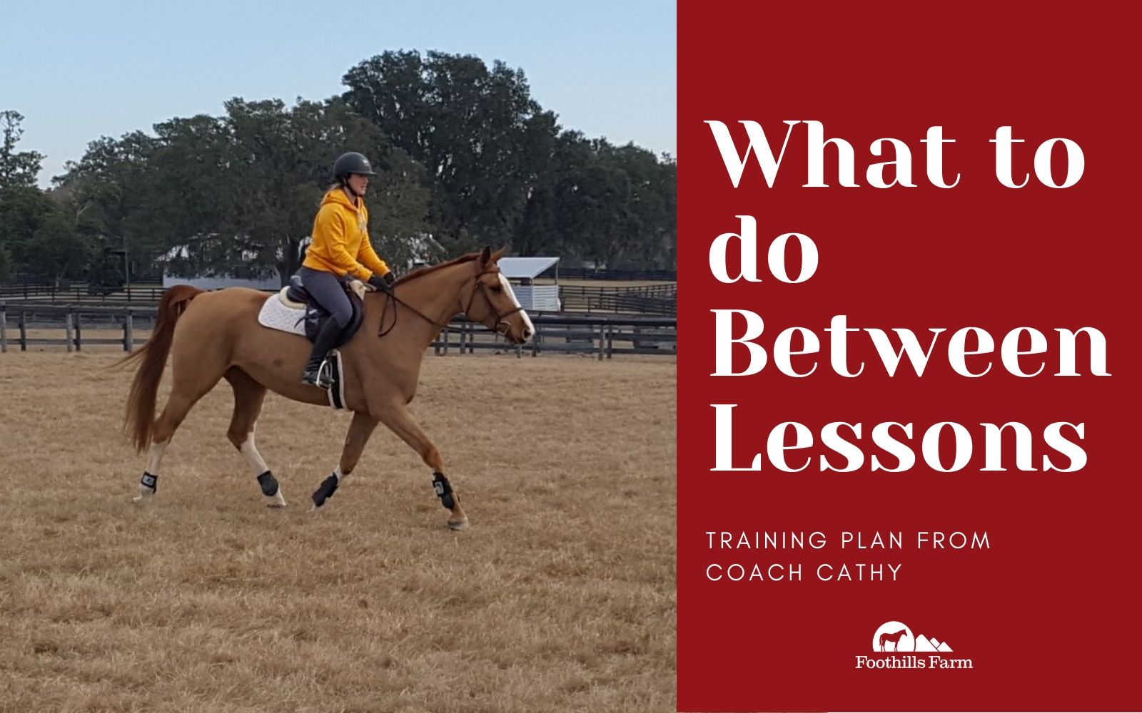 What To Do Between Lessons