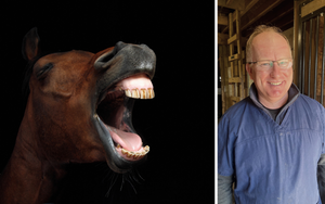 Equine dental practitioner Mike Lawrence visited Foothills Farm in Chelmsford.