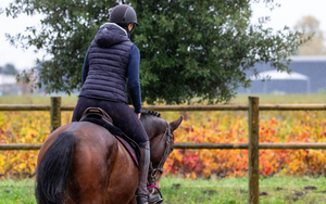Frequently Asked Questions about riding lessons at Foothills Farm