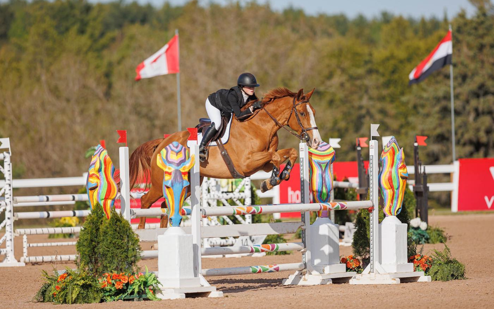 Holly Heikkila and La Jovena Venganza are heading to the Royal Winter Fair in the CET National Finals