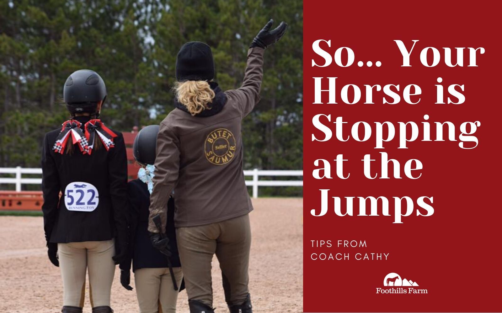 So... Your Horse is Stopping at the Jumps