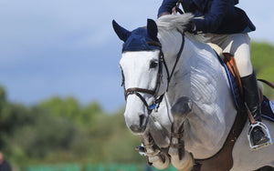 Showjumping 101 | A Guide for New Riders
