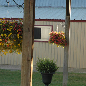 Foothills Farm Summer Horse Riding Camp