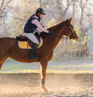 Horseback Riding Lessons at Foothills Farm in Sudbury, Ontario